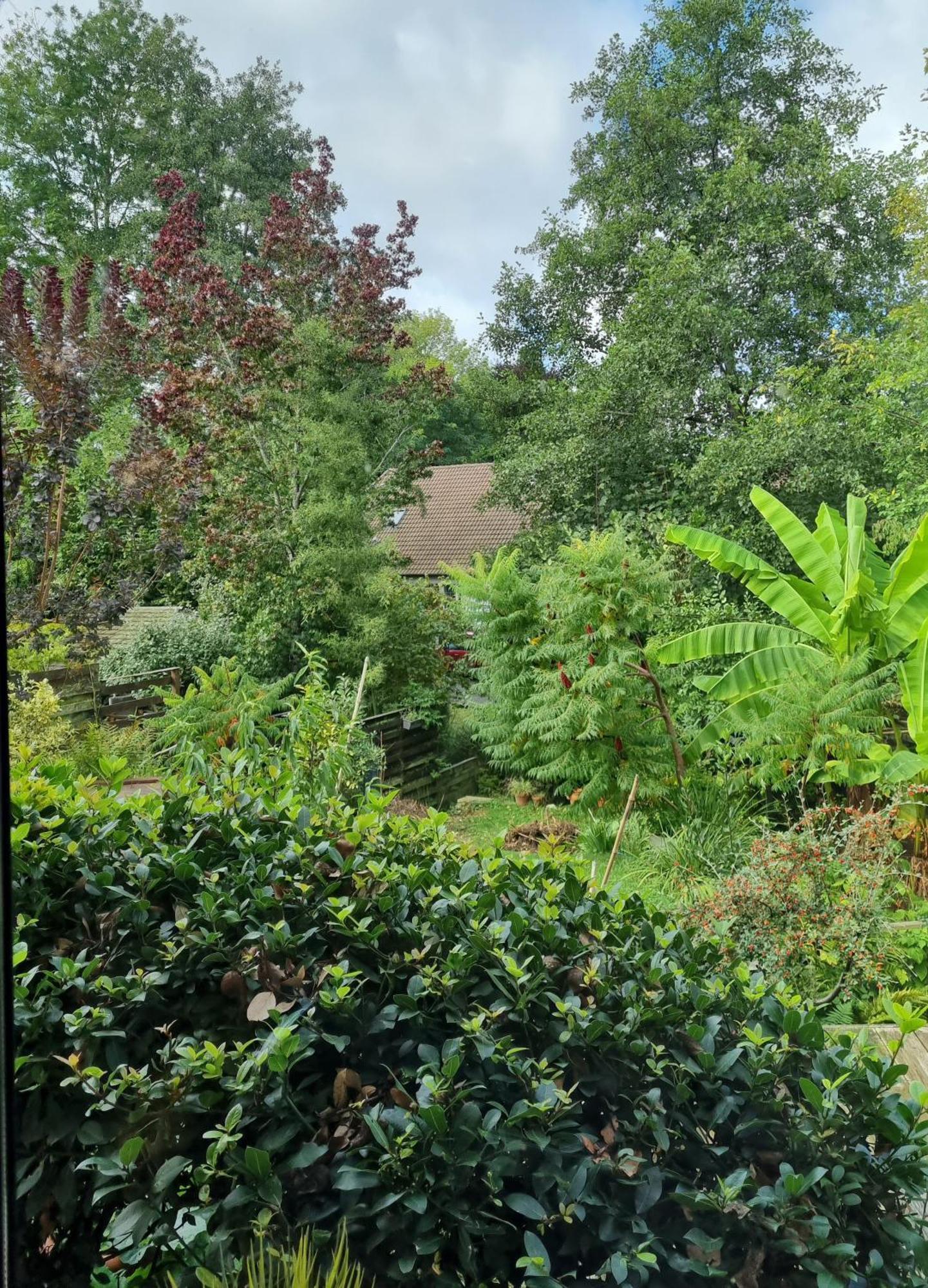 Belle Maison D'Art Verdoyante & Jardin Saint-Rémy-lès-Chevreuse Esterno foto