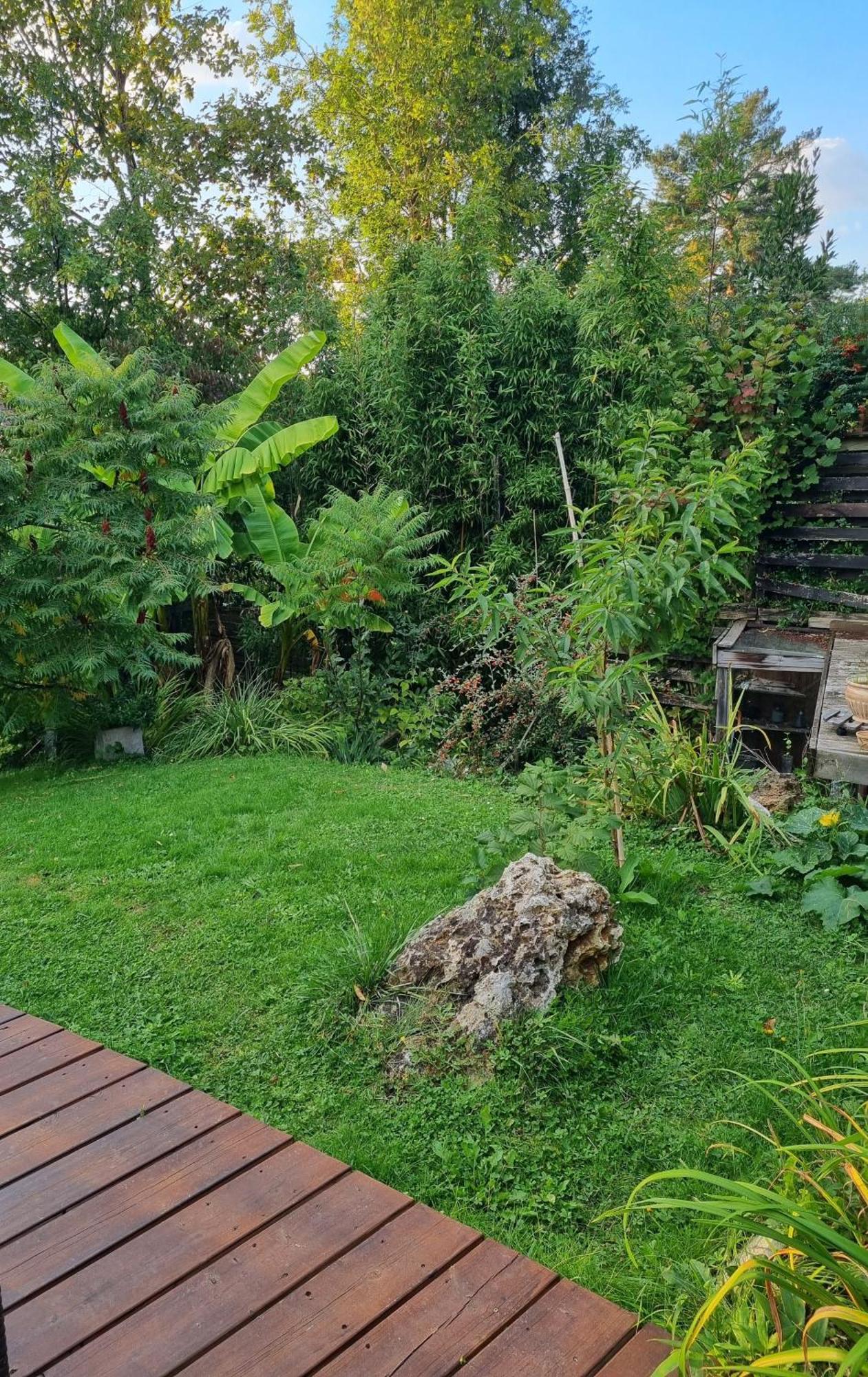 Belle Maison D'Art Verdoyante & Jardin Saint-Rémy-lès-Chevreuse Esterno foto