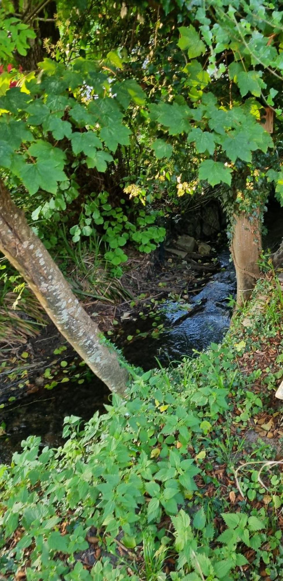 Belle Maison D'Art Verdoyante & Jardin Saint-Rémy-lès-Chevreuse Esterno foto